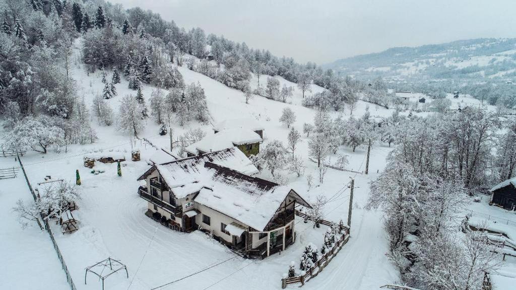 Villa Lacrima Izei Săcel Exterior foto
