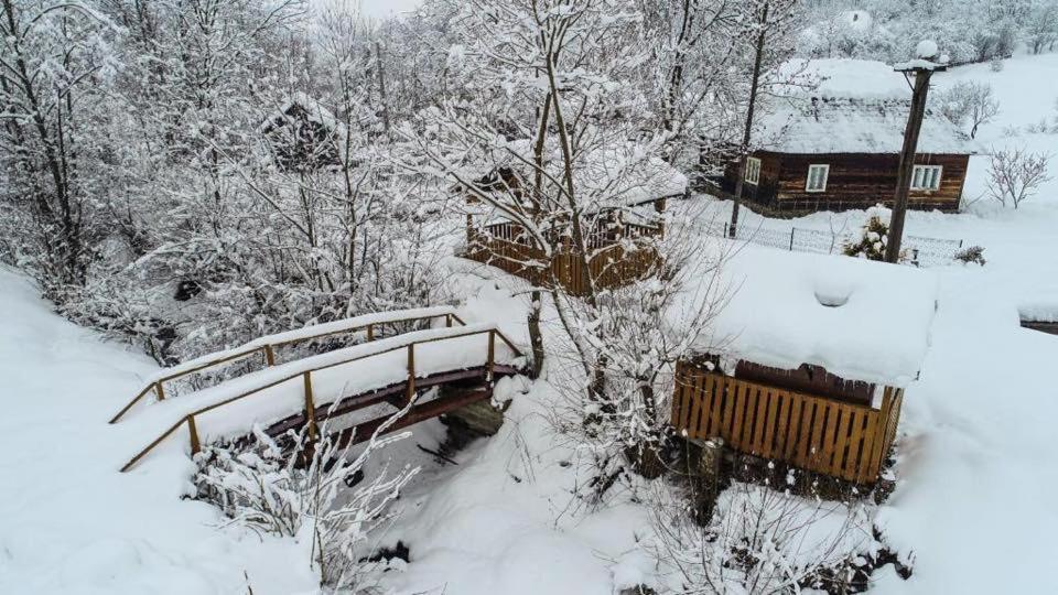 Villa Lacrima Izei Săcel Exterior foto