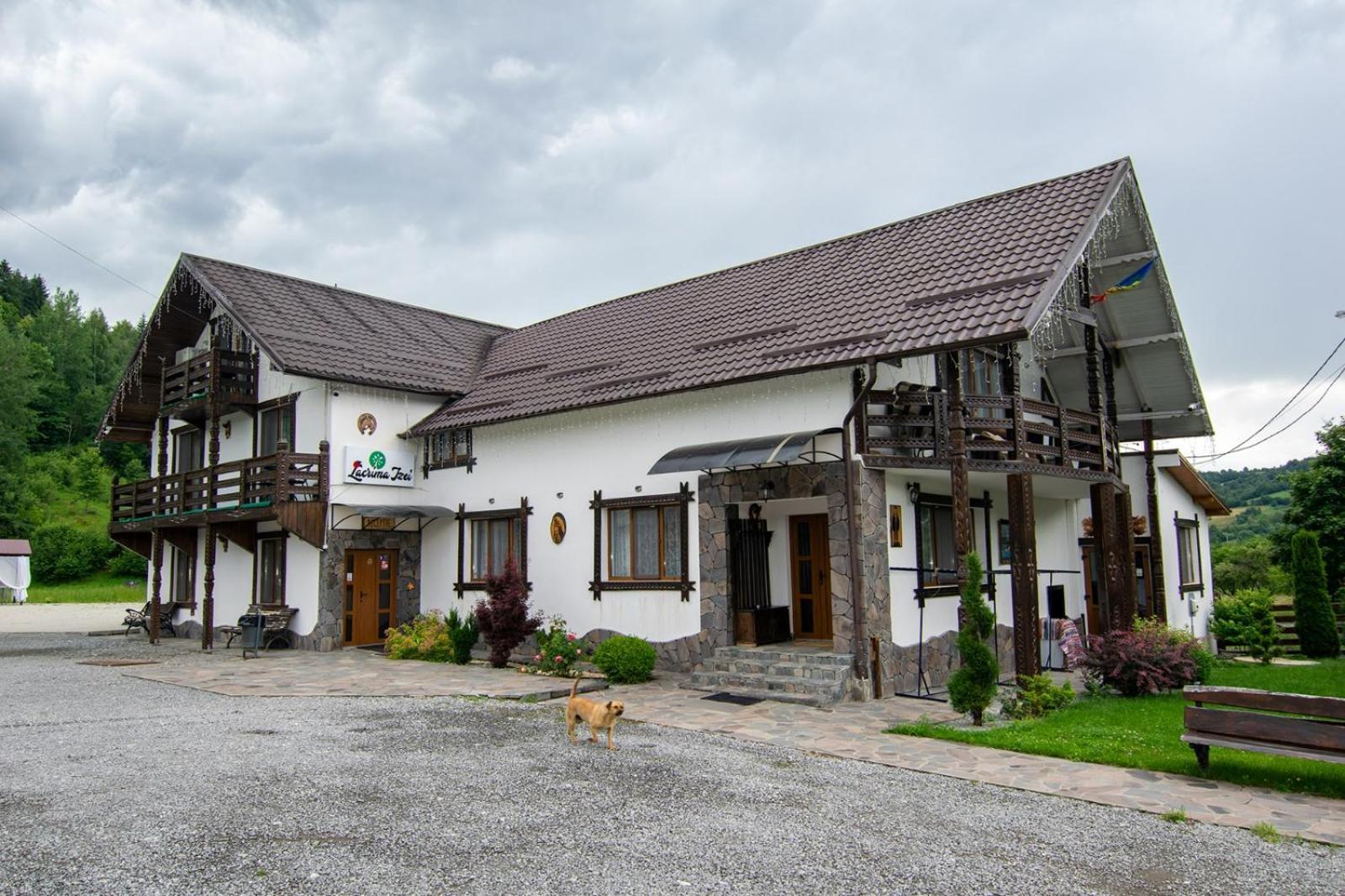 Villa Lacrima Izei Săcel Exterior foto