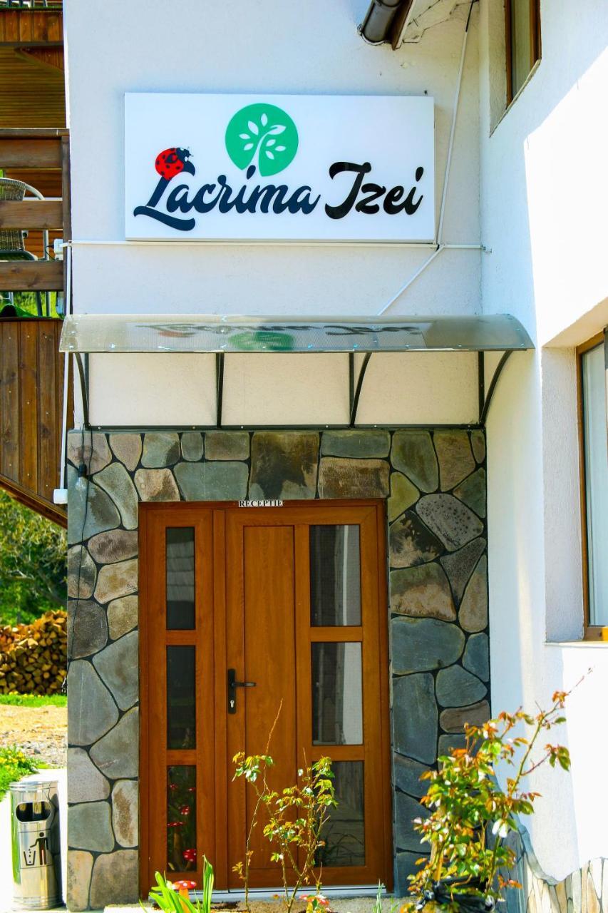 Villa Lacrima Izei Săcel Exterior foto